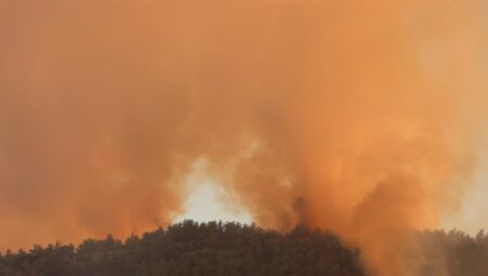 Muğla’da Gökova Kozlukuyu bölgesindeki yangın kontrol altına alındı